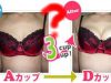 バストアップに失敗する人はせっかちさんが多い？成功する人との違いって？