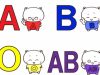 バストアップ成功例と体験者に学ぶ～血液型との関係って？～