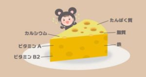 バストアップの食べ物でチーズは効果あり？